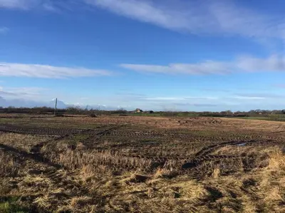 an empty field with a blue sky in the background at The Bungalow in Preston