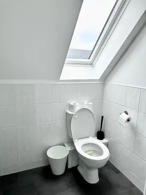 a bathroom with a white toilet and a skylight at Relax Inn in Liverpool