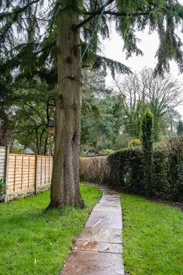 a tree next to a sidewalk next to a tree at Entire cottage & private garden in Scorton in Scorton