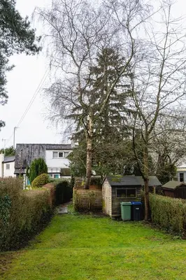 a yard with a large tree and a house at Entire cottage & private garden in Scorton in Scorton