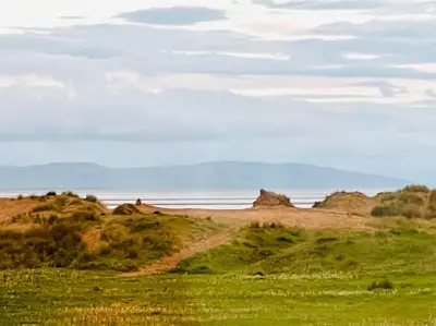 a grassy field with rocks in the distance at Liverpool - Cosy Jazzy Beach Home! in Waterloo