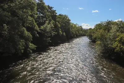 a river with trees on the side of it at The Beeches in Ulverston