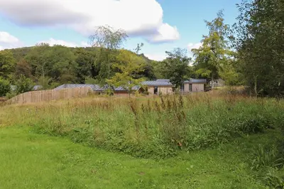 a field of tall grass with a house in the background at Millstream Ridge in Ulverston
