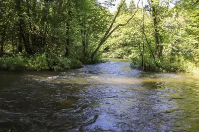 a stream of water with trees on the side of it at The Burrow in Ulverston