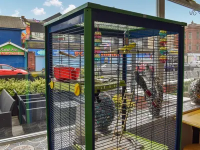 a cage with birds in it in a store at Apartment 786 At The Granville in Blackpool