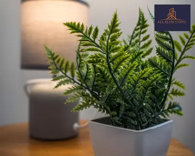a green plant in a white pot on a table at Swan House Stunning 1 bed Apartment By ALL ELITE STAYS - near Liverpool city centre - Sleeps 4 - Free Parking in Liverpool