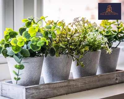 four potted plants sitting on a shelf at Swan House Stunning 1 bed Apartment By ALL ELITE STAYS - near Liverpool city centre - Sleeps 4 - Free Parking in Liverpool