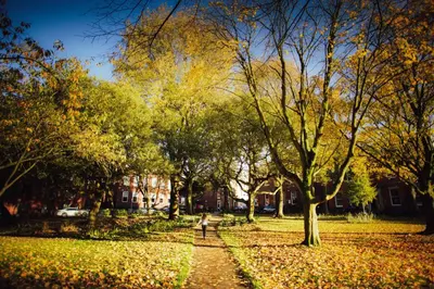 a person walking down a path in a park with trees at 7 Cannon Street in Preston