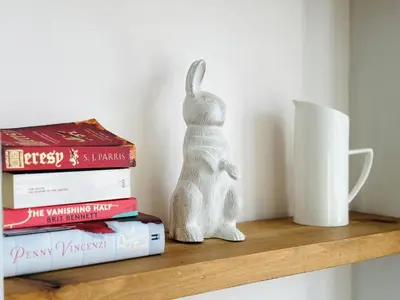 a figurine of a rabbit sitting on a shelf with books at Stylish 3BR house near Liverpool Football Club in Liverpool