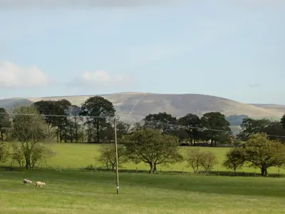 two animals in a field with hills in the background at Bramble Cottage - 27978 in Whalley