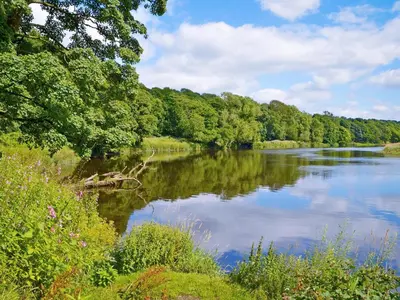 a river with trees on the side of it at Bramble Cottage - 27978 in Whalley