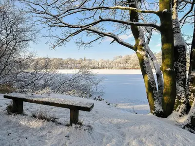 a bench sitting in the snow next to a lake at South Lodge Cottage in Standish