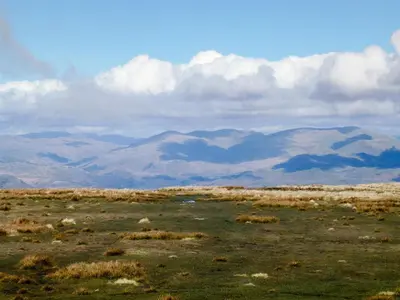 a field of grass with mountains in the background at Cockleshell Cottage in Millom