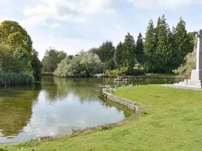 a group of birds sitting on the bank of a river at Jackdaw Cottage in Baycliff