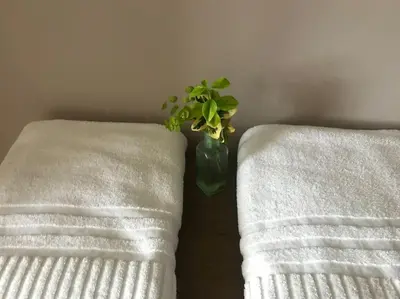 a plant in a vase sitting between two towels at Rural Family Farmhouse with Countryside views in Southport
