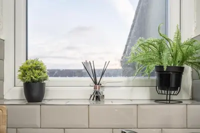 three potted plants sitting on a window sill at Beautiful apartment dos - free public parking in Litherland
