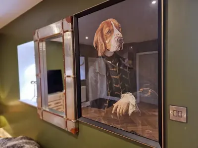 a dog is looking out of a window at 8 Coach House in Preston