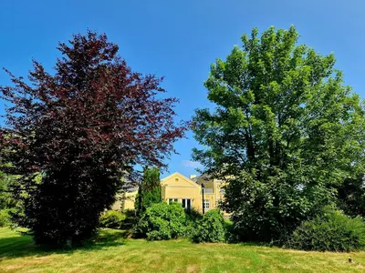 two trees in front of a yellow house at 8 Coach House in Preston