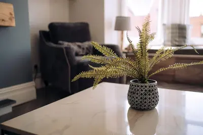 a potted plant sitting on a table in a living room at The Dunes, Lytham St Annes in Lytham St Annes