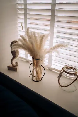 a window sill with a snake and a vase with feathers at The Windmill, Lytham St Annes in Saint Annes on the Sea