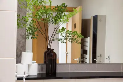 a black vase with a plant on a counter in a bathroom at Weekly & Monthly stays in Penthouse for Contractors or Leisure Single or Superking beds available in Birkenhead