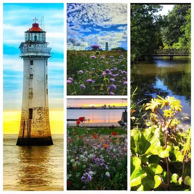 a collage of four pictures of a lighthouse and flowers at Crabtree House in Moreton