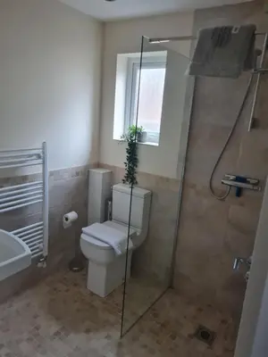 a bathroom with a toilet and a shower with a plant at Crabtree House in Moreton