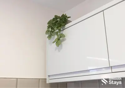 a plant hanging from a kitchen cabinet at One Bedroom Apartment At Smooth Stays Short Lets & Serviced Accommodation Preston With Parking Near Train Station in Preston