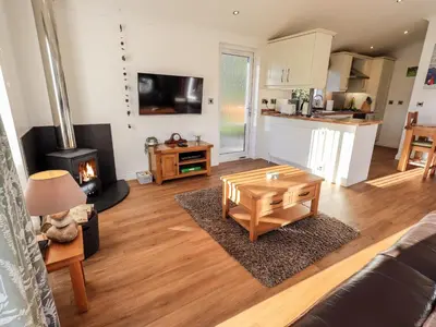 a living room with a coffee table and a stove at Pippin Lodge in Grange Over Sands