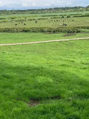 a field of green grass with animals in the distance at Newton Hall Farm cottage, hot tub garden views Nr Lytham Ribby in Preston