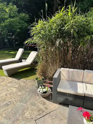 two white chairs and a couch in a yard at Leafy lodge in Lytham in Brown Moss Side