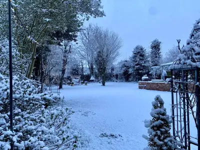 a yard covered in snow with trees and a fence at Winter Escape with heated pool in Roby