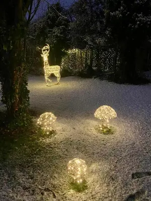 a garden with a statue of a deer and lights at Winter Escape with heated pool in Roby