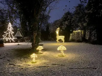 a garden with christmas lights and a christmas tree at Winter Escape with heated pool in Roby