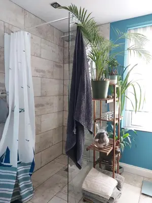 a bathroom with a shower with plants in it at Morecambe Seaside Room in Heysham