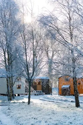 a snow covered yard with trees and a cabin at The Hamlet at Samlesbury Hall in Balderstone