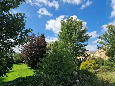 a lawn with trees and a house in the background at The Duke in Preston