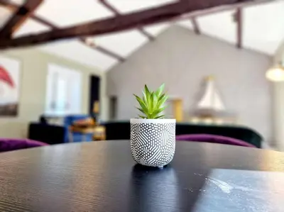 a potted plant sitting on top of a table at Hamilton-The Cruck Luxury Let in Scorton