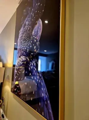 a picture of a purple dress in a mirror at Hamilton - Lord William in Scorton
