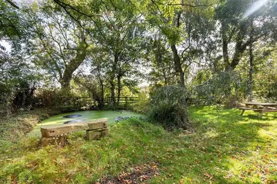 a small pond in the middle of a park with two benches at Large converted barn in peaceful, rural location in Hambleton