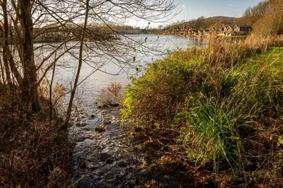 a body of water with trees and grass at Lakeland Lodge 9B Arnside , Carnforth ,Lancaster , LA61BH in Carnforth