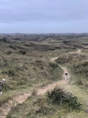 a dog walking down a dirt road in a field at Another Place in Formby