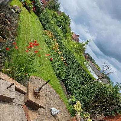 a garden with plants and flowers on a hill at Number 1 Preston Stays in Preston