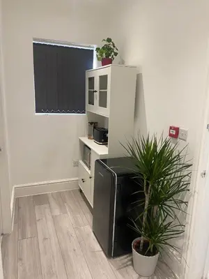 a living room with a tv and a plant at Holiday Plus - Palatine Road in Blackpool