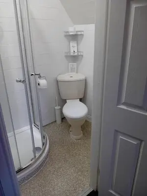 a small bathroom with a toilet and a shower at Number twenty five in Blackpool