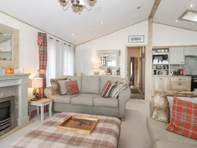 a living room with a couch and a fireplace at Pine Lake View in Carnforth