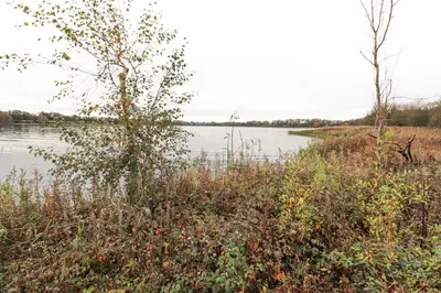 a view of a body of water with grass and weeds at Pine Lake View in Carnforth