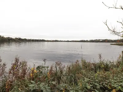 a view of a body of water with trees at Pine Lake View in Carnforth