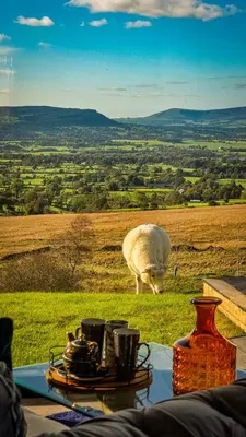 a sheep grazing in a field with a table with at The Wellsprings Lodges and Restaurant in Clitheroe