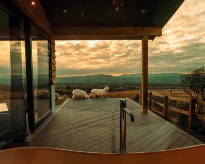 a bathroom with a bath tub with sheep on a deck at The Wellsprings Lodges and Restaurant in Clitheroe